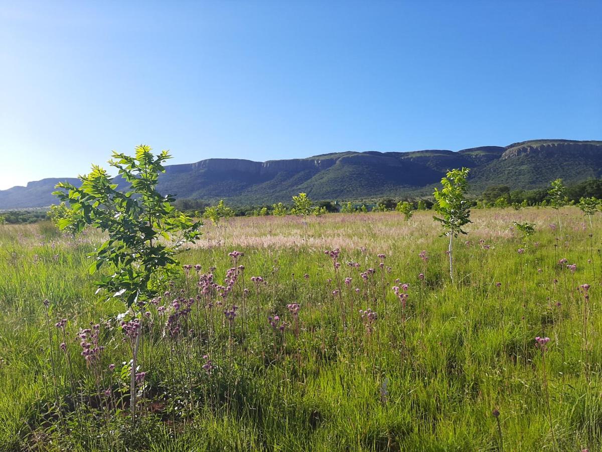 Remhoogte Mountain Lodge Jacksonstuin Exteriör bild